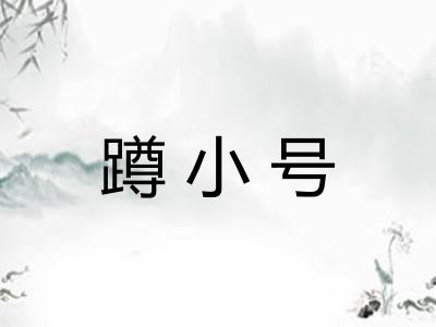 蹲小号