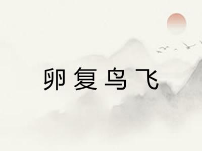 卵复鸟飞