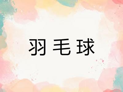 羽毛球