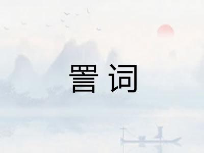 詈词