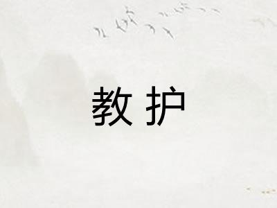 教护