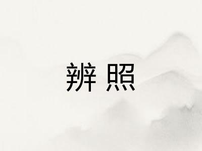 辨照
