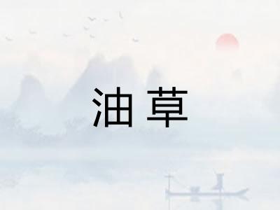 油草 油草