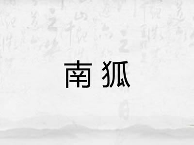 南狐