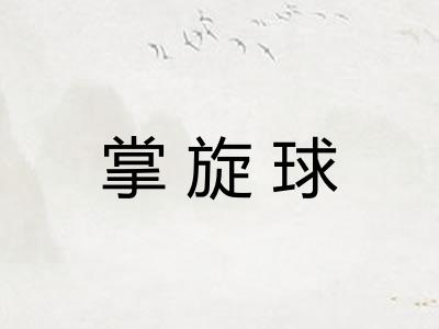 掌旋球