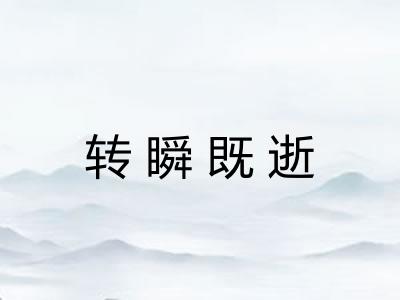 转瞬既逝