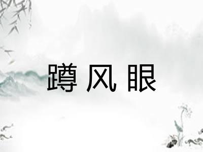 蹲风眼