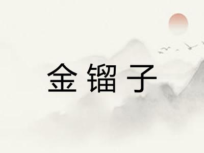 金镏子