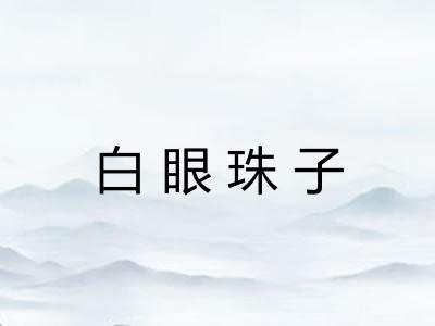 白眼珠子