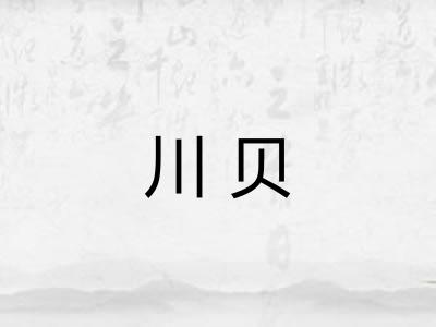 川贝 川贝