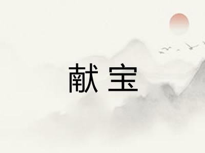 献宝