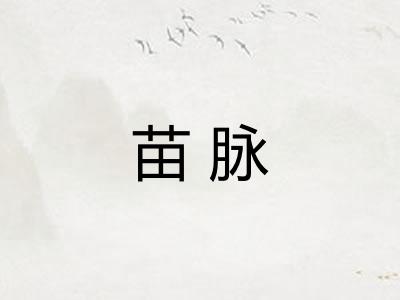 苗脉