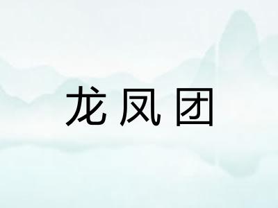 龙凤团 龙凤团