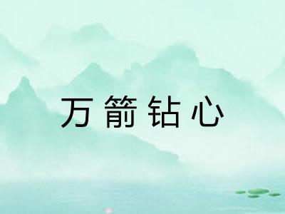 万箭钻心