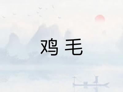 鸡毛