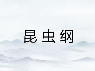 昆虫纲
