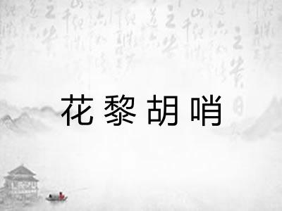 花黎胡哨
