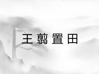 王翦置田 王翦置田