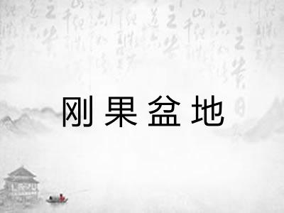刚果盆地 刚果盆地