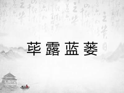 荜露蓝蒌