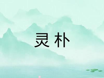 灵朴