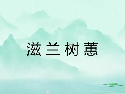 滋兰树蕙