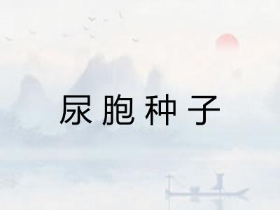 尿胞种子 尿胞种子