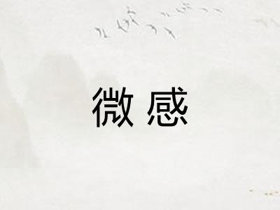 微感