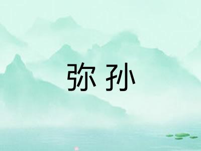 弥孙 弥孙