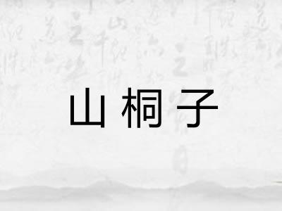 山桐子 山桐子
