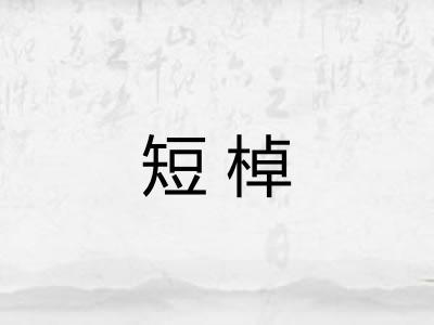 短棹