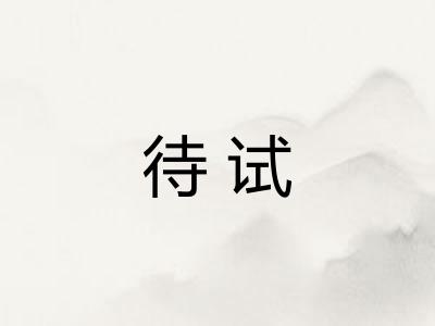 待试
