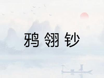 鸦翎钞