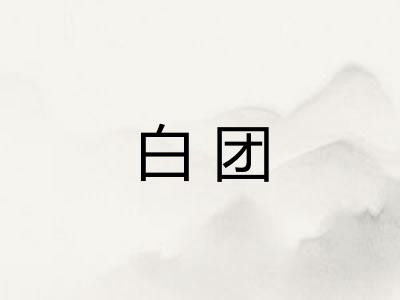 白团
