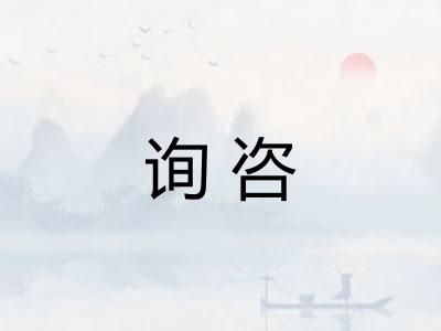 询咨