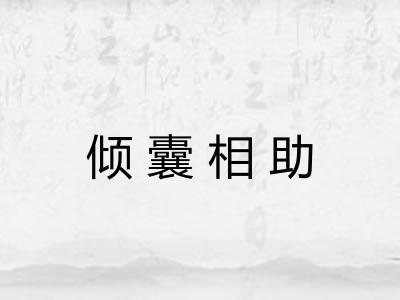 倾囊相助