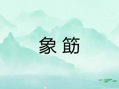 象筯
