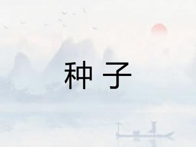 种子 种子