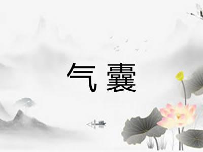 气囊 气囊
