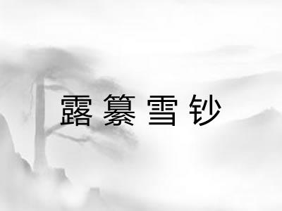 露纂雪钞 露纂雪钞
