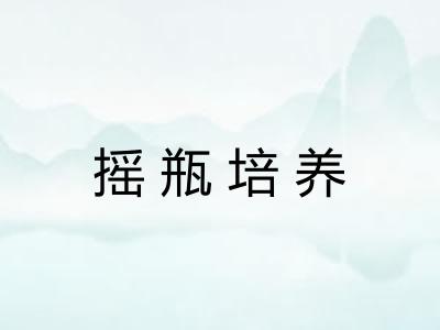 摇瓶培养