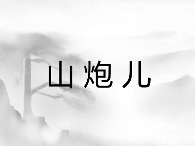 山炮儿