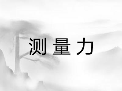 测量力