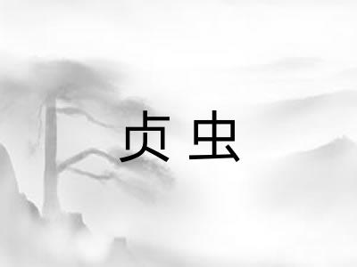 贞虫
