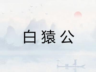 白猿公