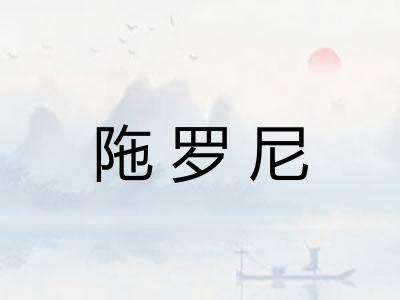 陁罗尼 陁罗尼