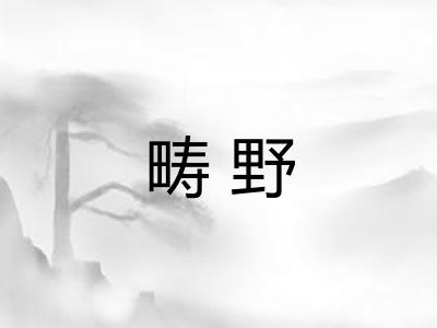 畴野