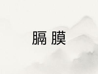 膈膜 膈膜