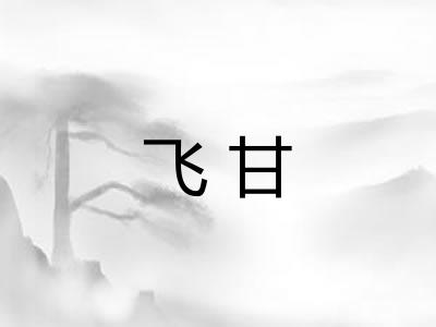 飞甘