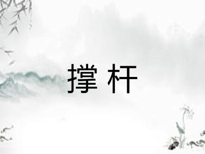撑杆 撑杆